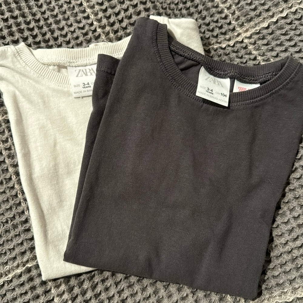 ✨ Zara ✨ toddler boy tees (a pair)
